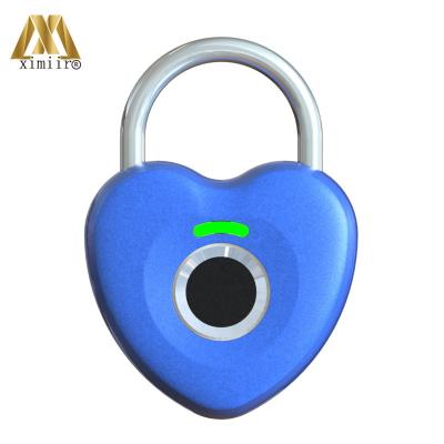 China Zinc Alloy Smart Padlock Small Fingerprint Padlock Travel Luggage Suitcase Fingerprint Lock Security Portable Door Lock for sale