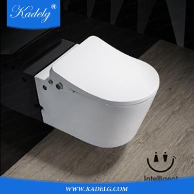 China Concealed Cistern Sanitary Ware Toilet Bowl Ceramic WC WC for sale