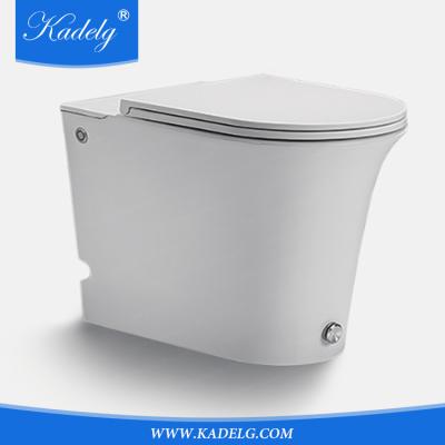 China Ceramic Tank Floor Hidden Bathroom Tankless Toilet for sale