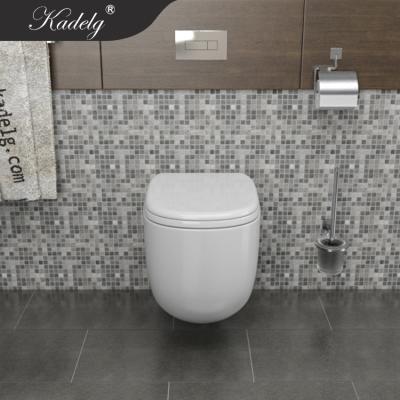 China Concealed Cistern Toilet Italian Brand Wall Mounted Toilet With Cistern for sale