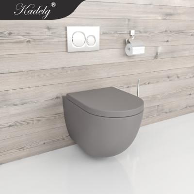 China Dusch-WC Hidden MAT Gray Toilet Wall Hung Toilet Tank Toiletten for sale