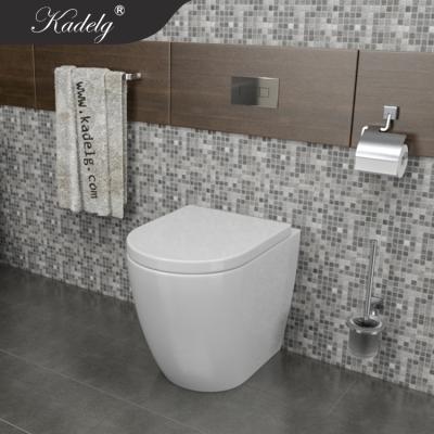 China Concealed Back To Wall Toilet Suite P Trap Cistern With Soft Close Seat for sale