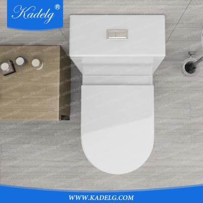 China Double-Flow Design Unique Washroom Strap Marine Gravity Flush One Piece Ceramic Toilet for sale