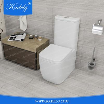 China Hidden Cistern Bathroom Sanitary Ceramic Two Piece Toilet Inodoro De Australia for sale