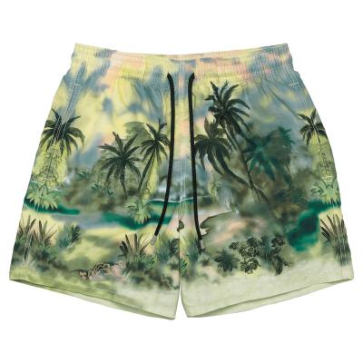 China Plus Size Custom Print Logo Design Pattern Men Waterproof Beach Shorts Waist Mesh Lining Hybrid Casual Polyester Shorts With Pocket for sale