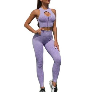 China Wholesale High Quality Antibacterial Yoga Equipment Two Piece Zippered Sexy Solid Color Women Sports Bras And High Elastic Seamless Leggings Set for sale