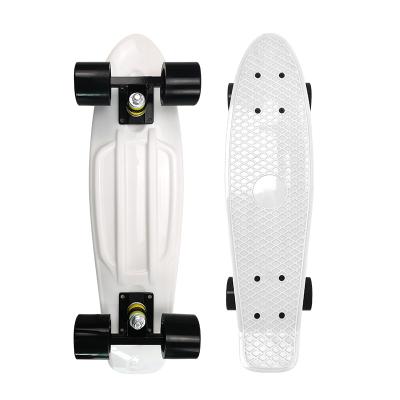 China YOUTH LAIER Beginner Logo Customs Skateboard 22 Inch Complete Skateboard Penny Board for sale