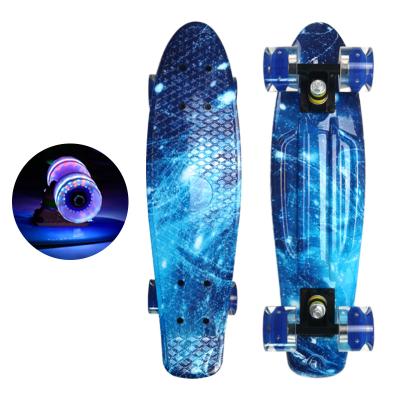 China Youth LAIER mini skateboard manufacturer heat transfer printing cruiser cheap skateboard for sale