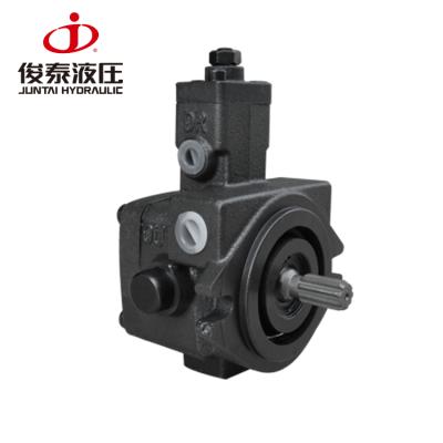 China Oil Volumetric Hydraulic Vane Pump for sale