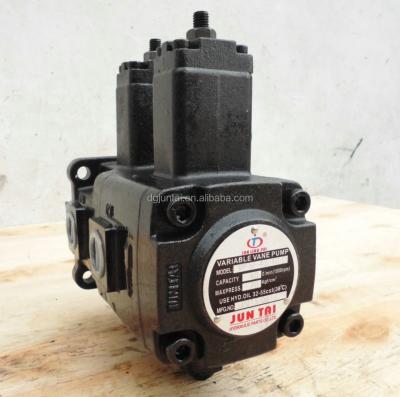 China Automotive Industry Low Pressure Volumetric Double Vane Pump make in china for sale