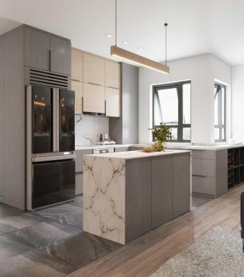 China Apartment Modern Kitchen Cabinet Veneer And Lacquer Mixed Style Modern Furniture for sale