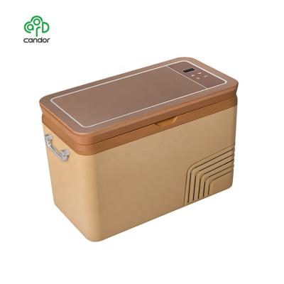 China ABS Factory Custom Compressor Cooling -12C ~10C 18L Quality Mini Fridge Car Refrigerator Price for sale