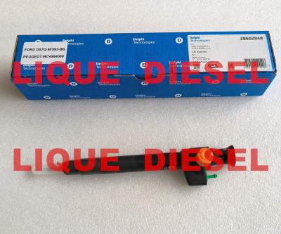 China DELPHI Common Rail Injector 28602948 9674984080 28388960 28319895 en venta