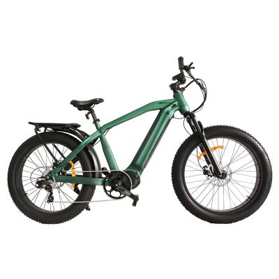 China Wholesale Aluminum Alloy EApower Long Range Mid Drive Ebike 1000w Tire For Sale for sale