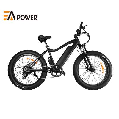 China Low price standard professional electric bicycle EApower big tire for sale for sale