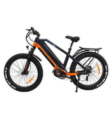 China Aluminum Alloy EAPower 2022 Snow Beach Long Range 30Ah Dual Battery Electric Bicycle For Sale for sale