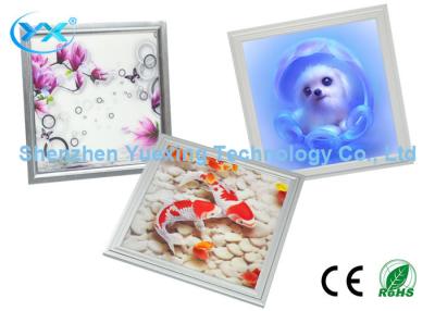 China Animal Pattern 6500K 36w LED Panel Lights For Home / Office / Hotel for sale