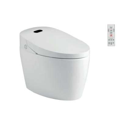 China Automatic Operation Smart Toilet / Smart Toilet / Hi-Tech Ceramic Tankless Toilet Seat Smart Toilet for sale