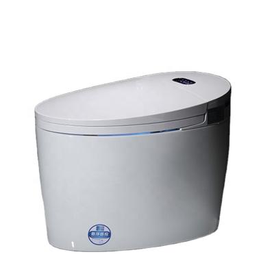 China Bathroom Hotel Automatic Operation Smart Toilet Cistern Hidden Electric Smart Toilet Wc Smart Toilet for sale