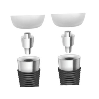 China Dental Implant Bars: Revolutionizing Overdenture Stability à venda