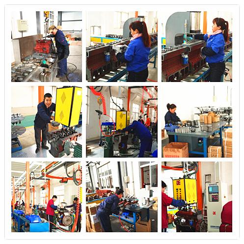 Geverifieerde leverancier in China: - Shandong Jin Fang International Trade Co., Ltd.