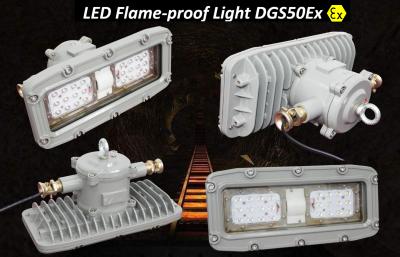 China Dgs50ex Atex 50W Mining Light Safe and Durable Solution for Laneway Illumination for sale