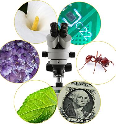 China School Factory Outlet High Quality Swift Official 7X-45X Stereo Trinocular Microscope with Coarse and Fine Focus for sale