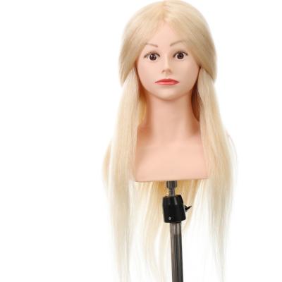 China Factory Price Hair Braiding 24 Inch Real Hair Training Heads With Shoulder For Beauty School for sale