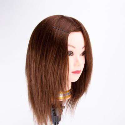 China 100% Female Human Hair 14inch Head Natural Beautiful Face Human Hair For Hair Salon for sale