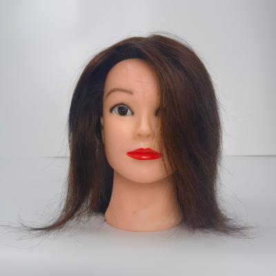 China 100%cheap natural hair human hair mannequin head for sale for sale