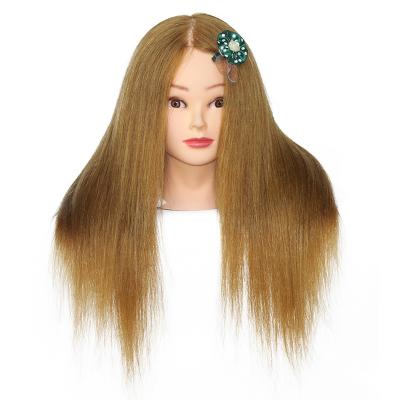 China HAIR DYE Training Manikin Head For Hairdressing School for sale