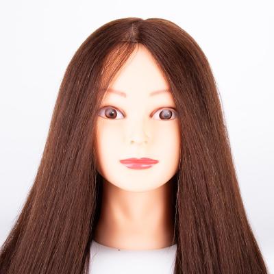 China Silky Straight Wave 20inch Brown Mixed Hair Training Heads For Hairdresser Training Doll Mannequins Heads for sale