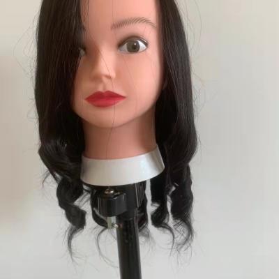 China Silky Straight Wave Animal Hair Shaping Head For Hairdresser In Hair Salon for sale