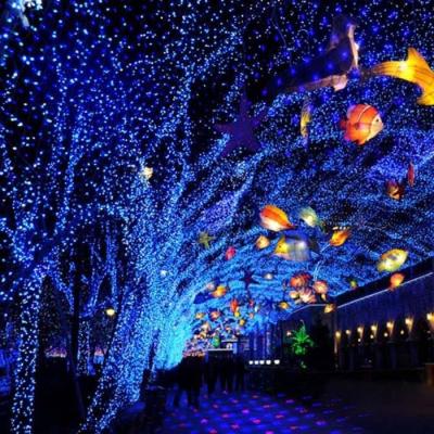 China For Outdoor Decoration 2020 Indoor And Outdoor Christmas Led String Light / Christmas Decoration Led for sale