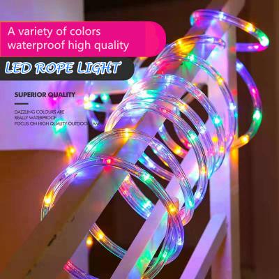 China Waterproof IP65 220v LANDSCAPE High Bright 2 Wire Led Pool Rope Light for sale