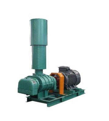 China Industrial Hot Sale Stainless Steel Air Compressor Rotary Roots Type Blower Small Blower Factory Outlet for sale