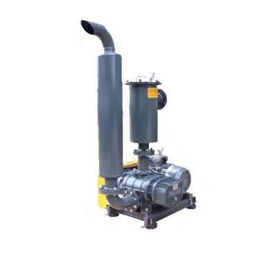 China Fan Roots Blower Rotary Motor Driven Vacuum Pump -40kp Vacuum Turbine for sale