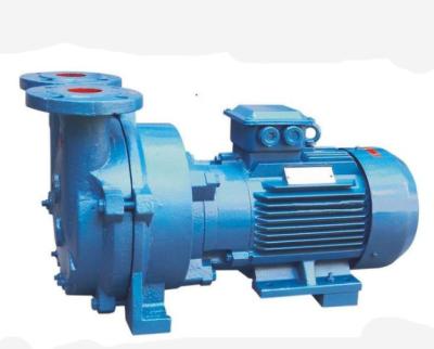 China Other Hot Selling Corrosion Resistant Small Water Circulation Electric Horizontal Vacuum Pump for sale