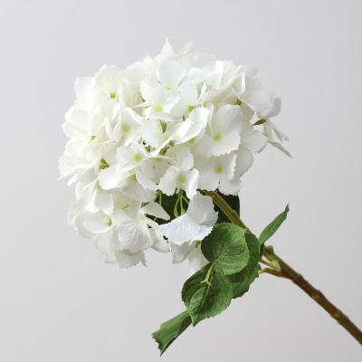 China Hot Latex Profile Hydrangea Artificial Flower Real Silk Latex Tooth Gift Sales Contact For Party Hotel Wedding Table Decorative Flowers for sale