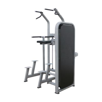 China Commercial Use Factory Direct Sales Assisted Chin Up /Dip Machine for sale