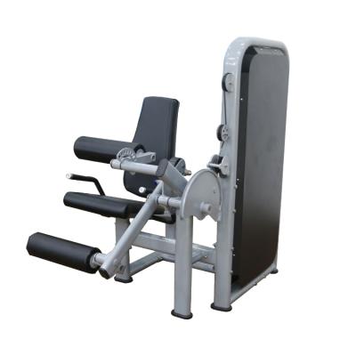 China Universal Leg Extension and Loop Pin Loaded Gym Fitness Equipment Exercise Machine for sale