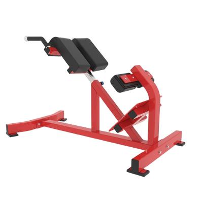 China Commercial Use Sports Strength Training Chair Multi Functional Indoor Roman Bench Back Extension for sale