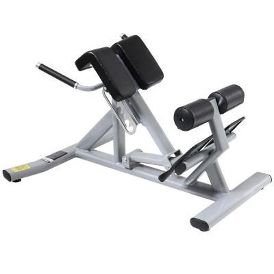 China Commercial Use Commercial Adjustable Stretcher Workout Machine Strength Training Abdominal Back Bench Roman Chair for sale