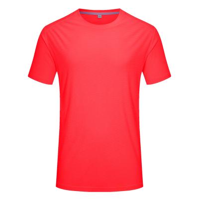 China Wholesale Lidong Custom Anti-wrinkle, Workout Comfort Blank Colors T Shirts For Women for sale