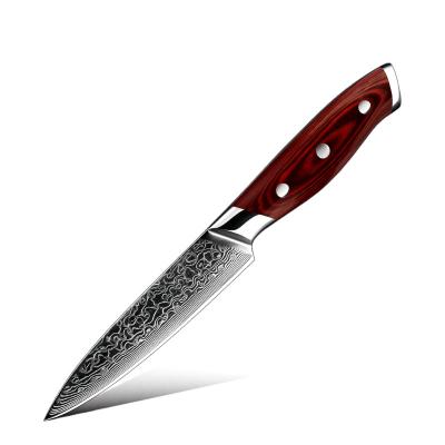 China Disposable Best Selling 67 Layers AUS 10 Damascus Cutting Kitchen Vegetable Cutlery Fruit Steel Serving Knife for sale