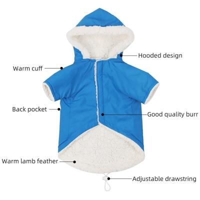 China 2021 Xmas Wholesale Warm Small High Fashion High Fashion Clothes Viable Luxury Pet Brand Winter Dog Clothing Hoodie Dress for sale