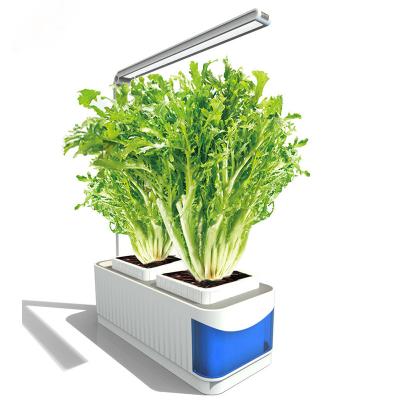 China Modern Top Selling On Amazon Hydroponic Garden Wholesale Mini Flower Pots Plastic Self Watering System for sale