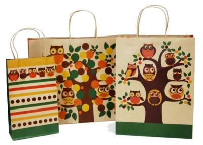 China Custom Printed Paper Shopping Bags Twisted Paper Handle Bottom Cardboard Design for sale