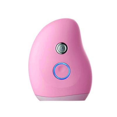 China Hotel Usb Electric Portable Nano Facial Mist Sprayer Spray Water Replenishment Water Filling Instrument Handheld Hotel NC; CHO 043 for sale