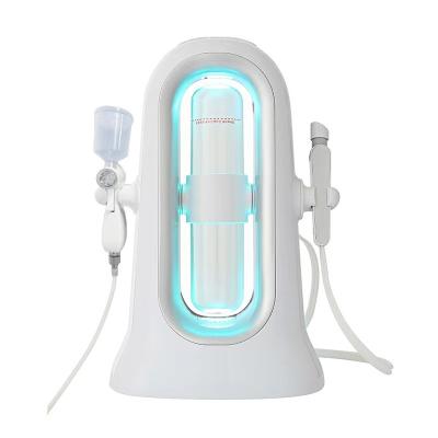 China High Quality Material Hydrogen And Oxygen Bubble Small Body Cleansing Body And Facial Care Instrument for sale